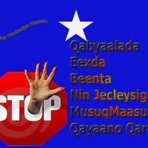 Meet your Posher, Siyaad